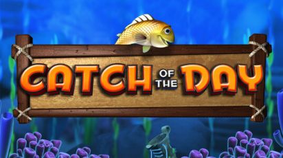Catch of the Day